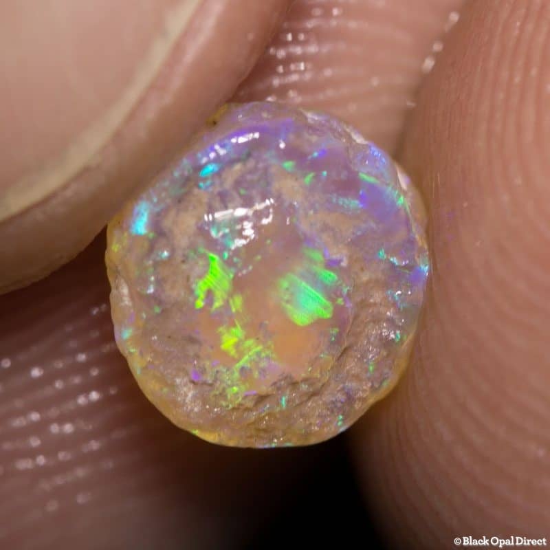 1.58 ct Yabby Button fossil full color 7mm across