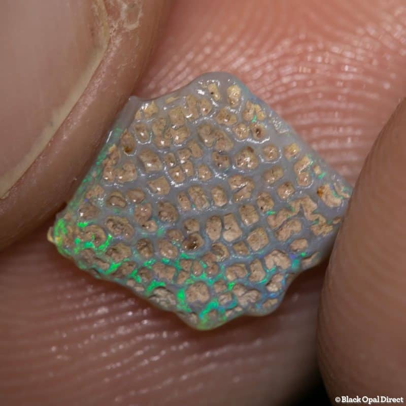 1.72 ct opalised coral fossil 11mm across