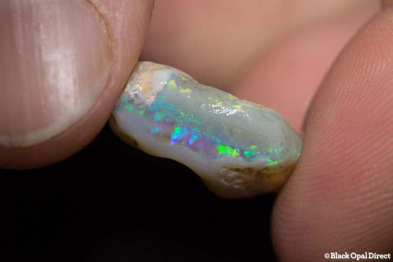 10.92 ct rough opal 19mm across