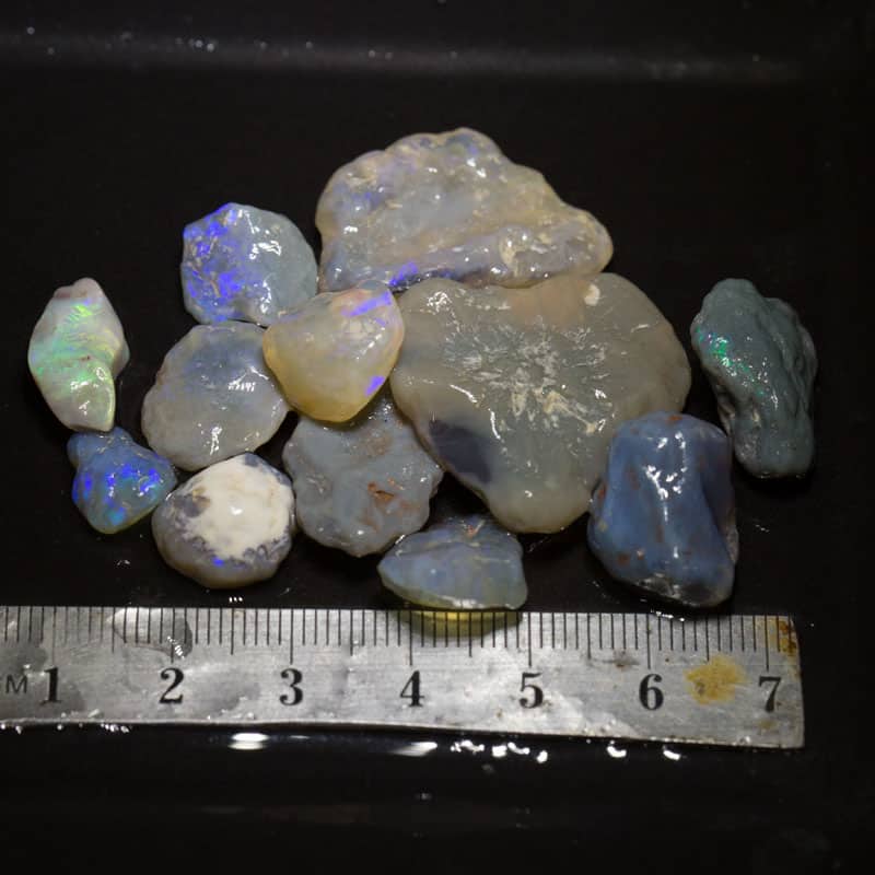 101 ct Beginners Rough Opal with Video Tutorials