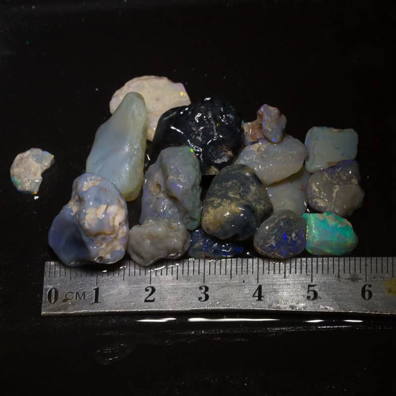 103 ct Beginners Rough Opal with Video Tutorials