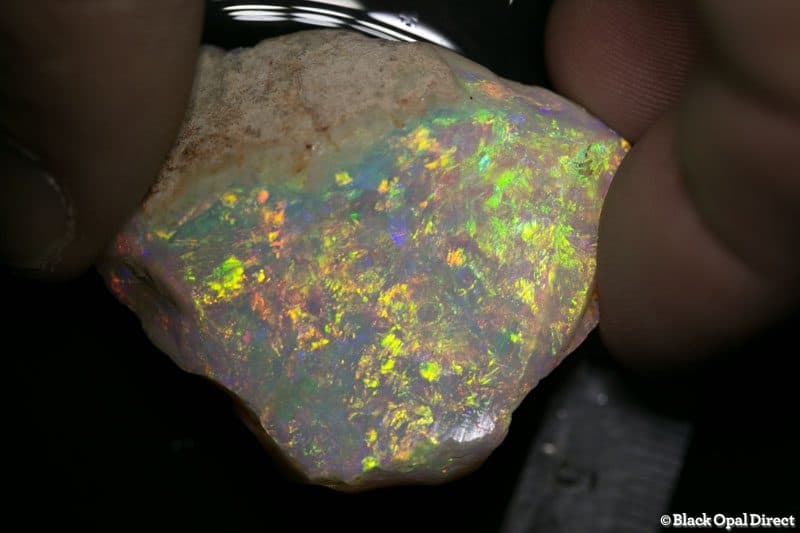 124 ct rough opal piece 42mm across HUGE