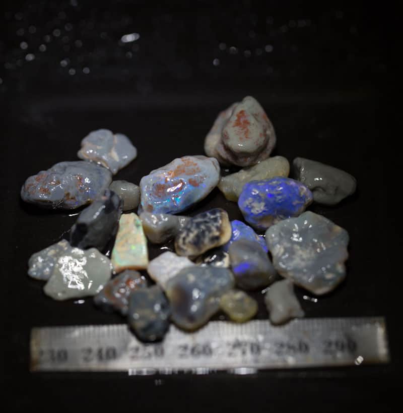 124ct Beginners Rough Opal with Video Tutorials - Image 2