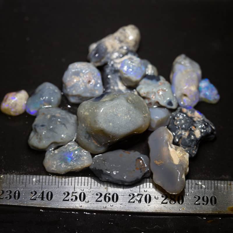 130 ct Beginners Rough Opal with Video Tutorials