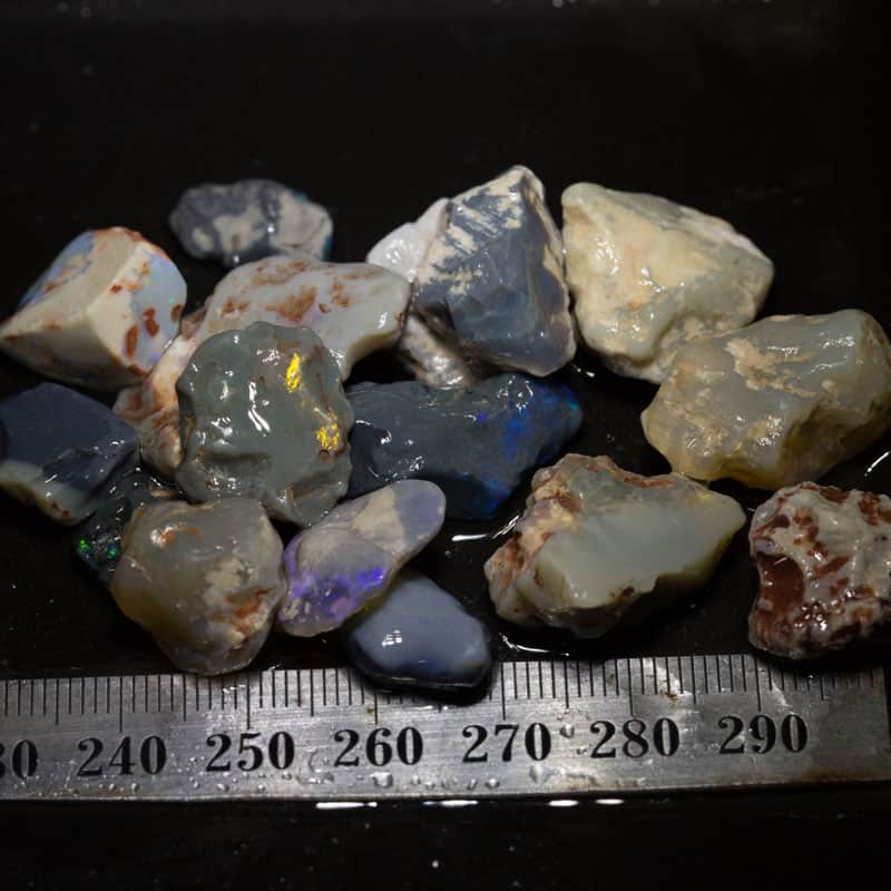 142 ct Beginners Rough Opal with Video Tutorials