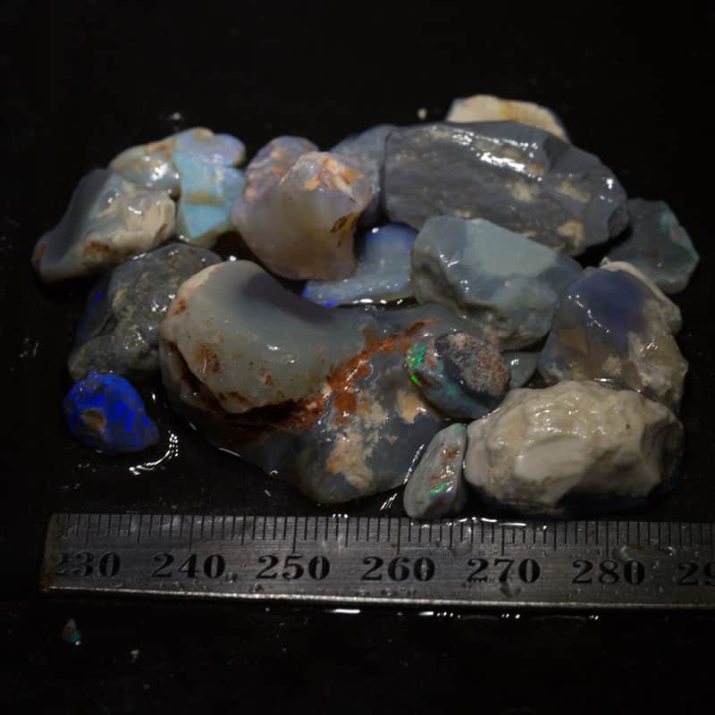 145 ct Beginners Rough Opal with Video Tutorials