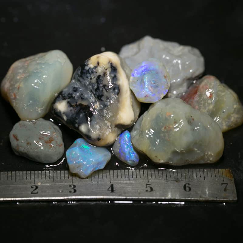 146 ct Beginners Rough Opal with Video Tutorials