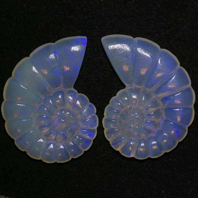 15.25 ct opal nautilus carving 25x15mm