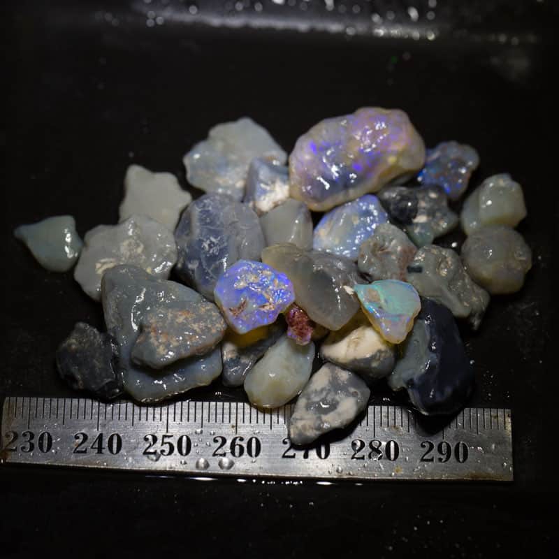 150ct Beginners Rough Opal with Video Tutorials