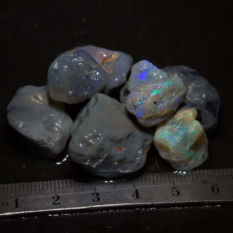 152 ct Beginners Rough Opal with Video Tutorials