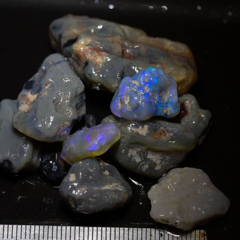 154 ct Beginners Rough Opal with Video Tutorials