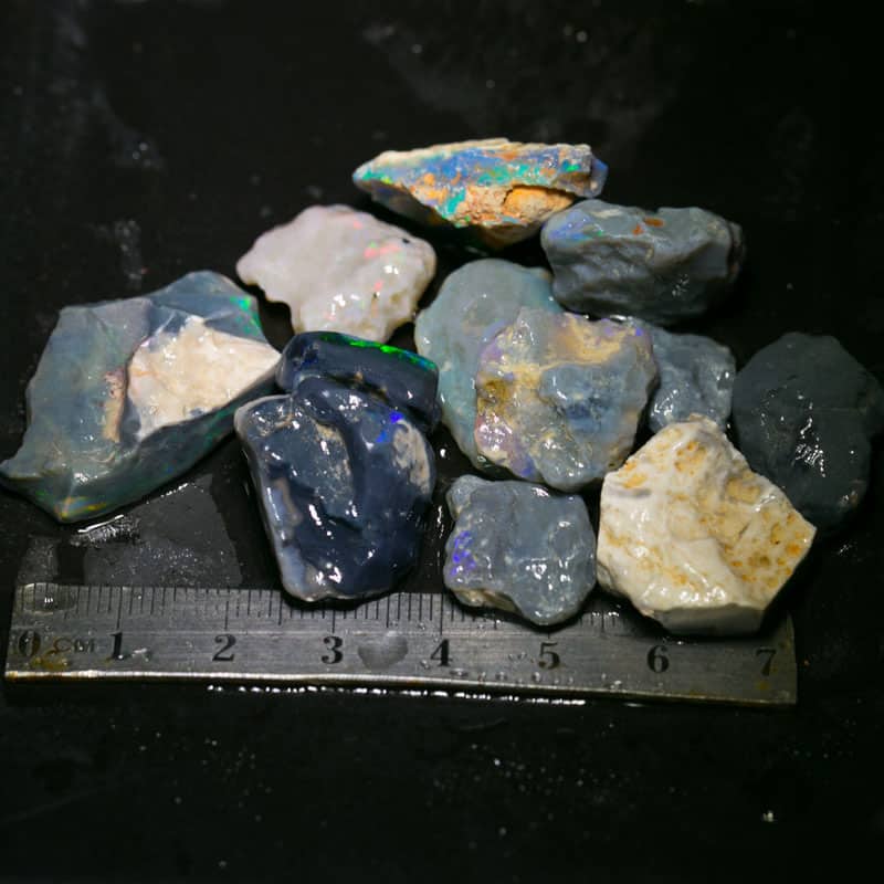 157 ct Beginners Rough Opal with Video Tutorials