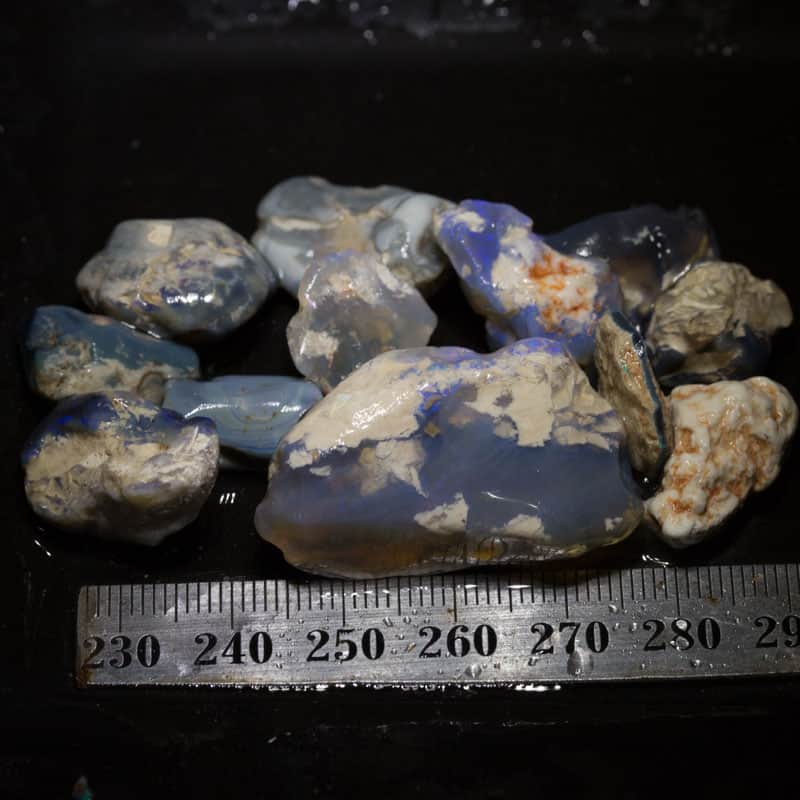 158 ct Beginners Rough Opal with Video Tutorials