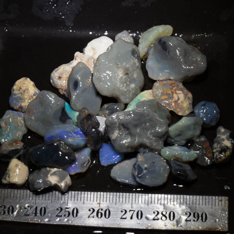 159ct Beginners Rough Opal with Video Tutorials