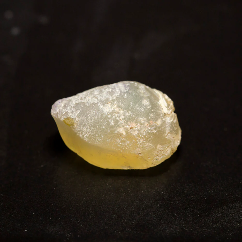16.10 ct opal fossilised shell 21.3x13.7x11.1mm
