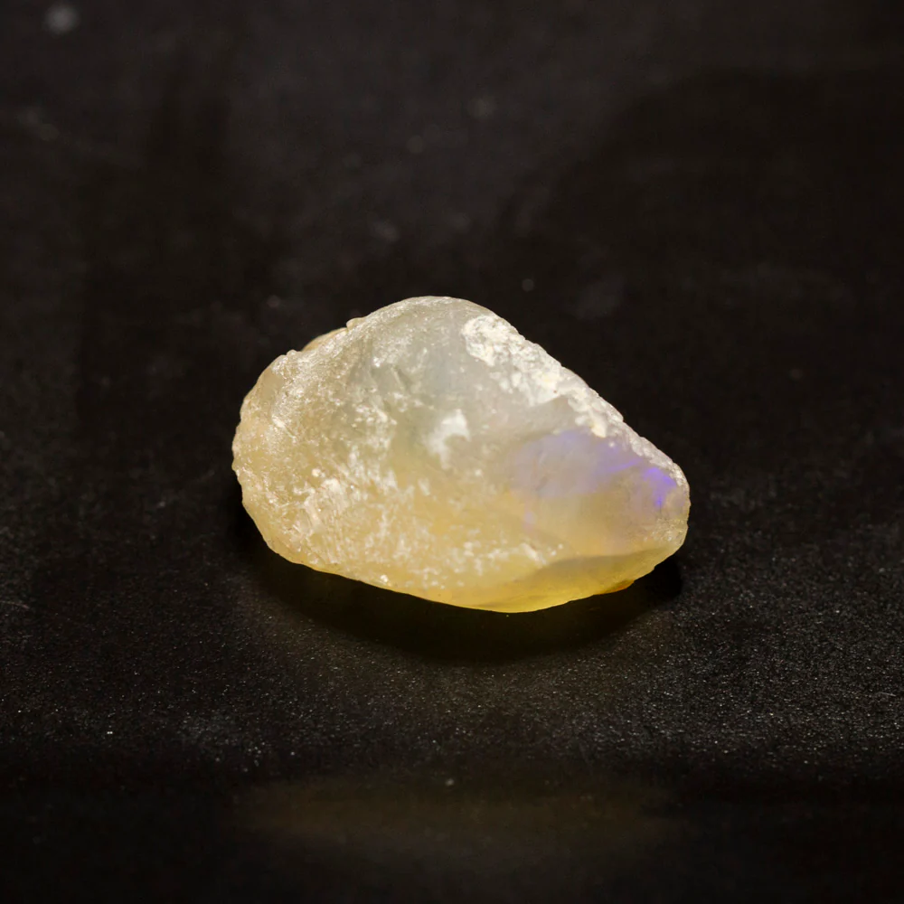 16.10 ct opal fossilised shell 21.3x13.7x11.1mm - Image 2