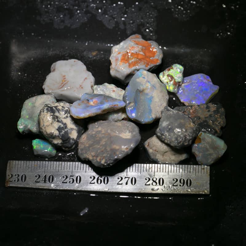 161.1 ct Beginners Rough Opal with Video Tutorials