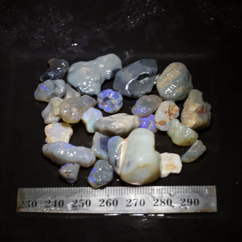161 ct Beginners Rough Opal with Video Tutorials