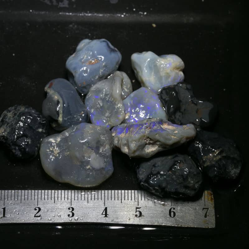162 ct Beginners Rough Opal with Video Tutorials