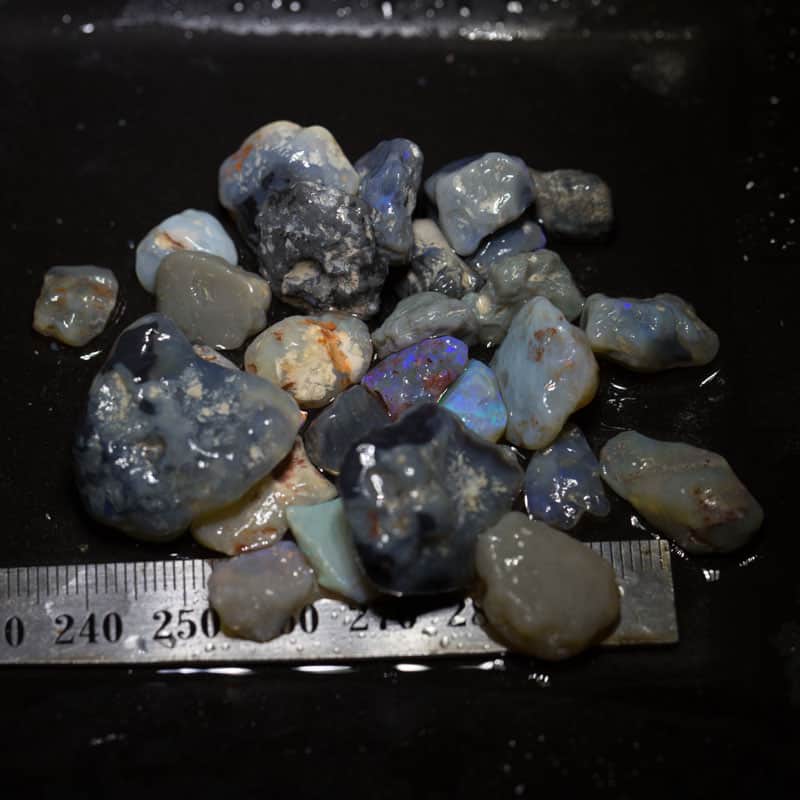 162ct Beginners Rough Opal with Video Tutorials