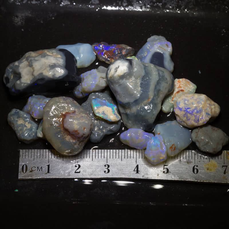 163 ct Beginners Rough Opal with Video Tutorials