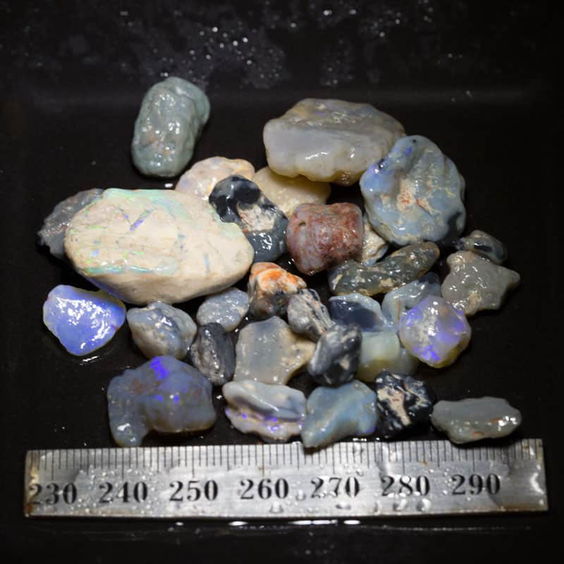 163 ct Beginners Rough Opal with Video Tutorials
