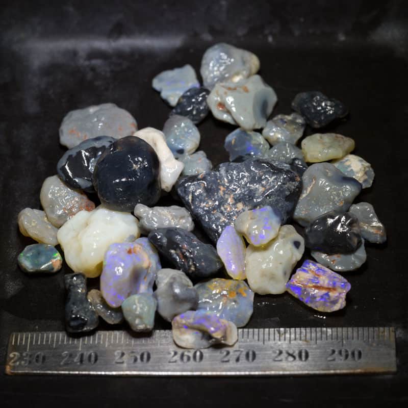 167ct Beginners Rough Opal with Video Tutorials