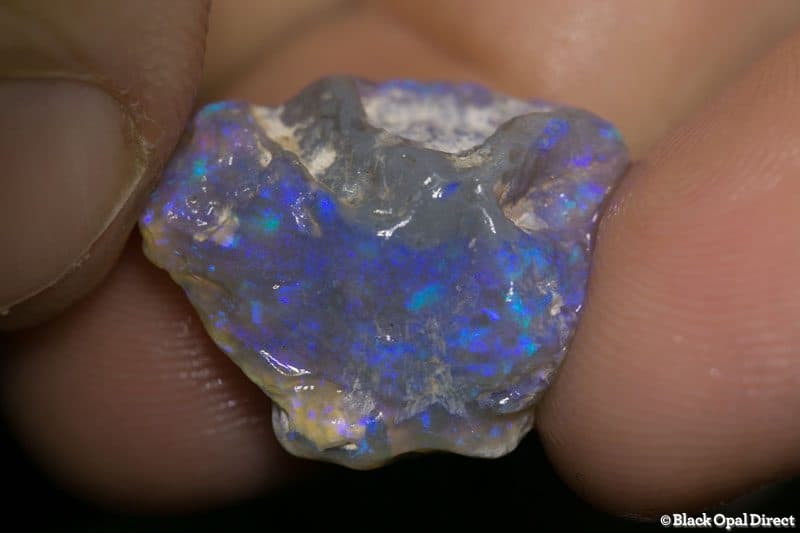 17.34 ct. rough opal 22mm across