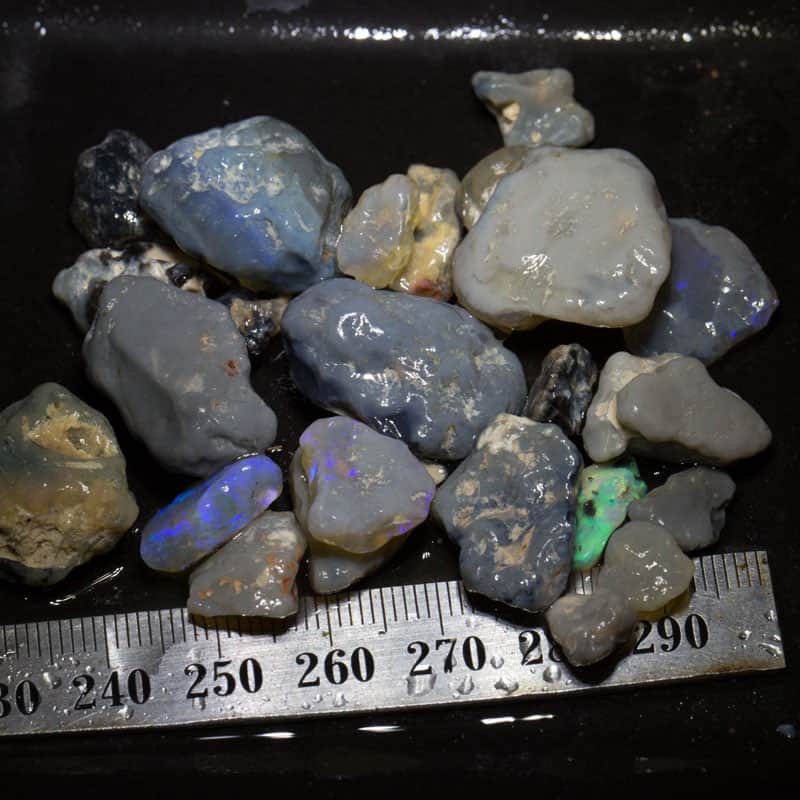 170ct Beginners Rough Opal with Video Tutorials