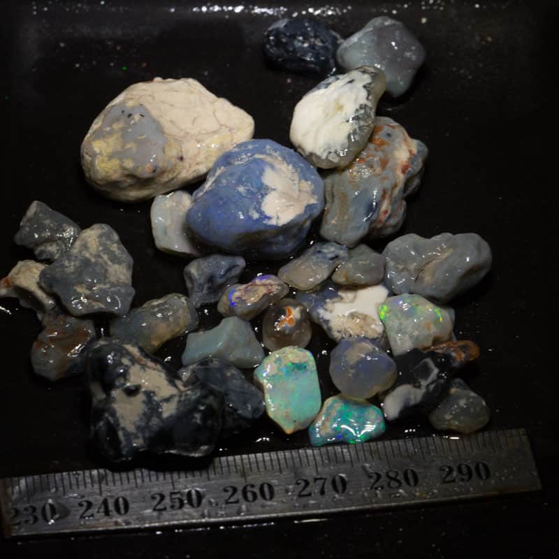 170ct Beginners Rough Opal with Video Tutorials