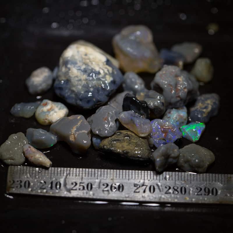 170ct Beginners Rough Opal with Video Tutorials - Image 4