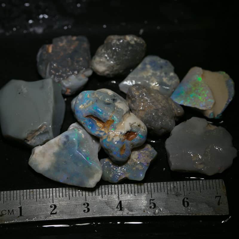 174 ct Beginners Rough Opal with Video Tutorials