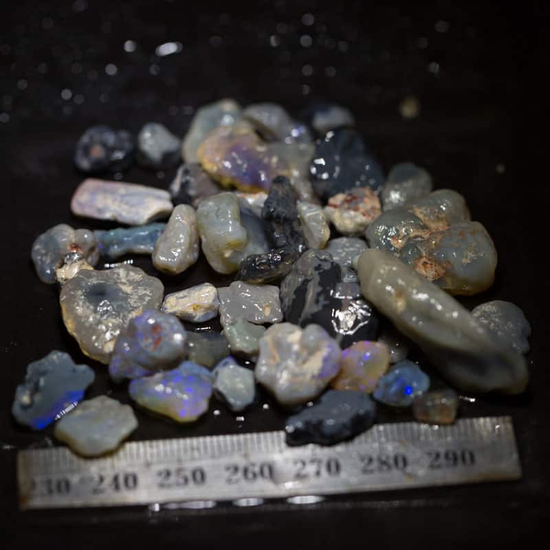 174ct Beginners Rough Opal with Video Tutorials - Image 5
