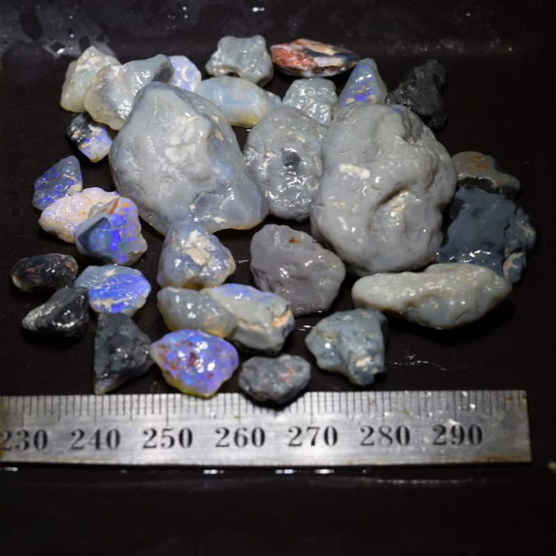 177 ct Beginners Rough Opal with Video Tutorials