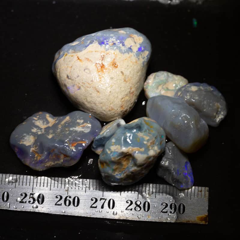 181 ct Beginners Rough Opal with Video Tutorials