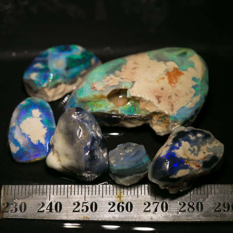 183 ct rough opal parcel 6pc intermediate cutter