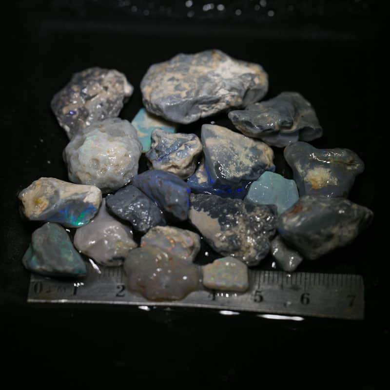 184 ct Beginners Rough Opal with Video Tutorials