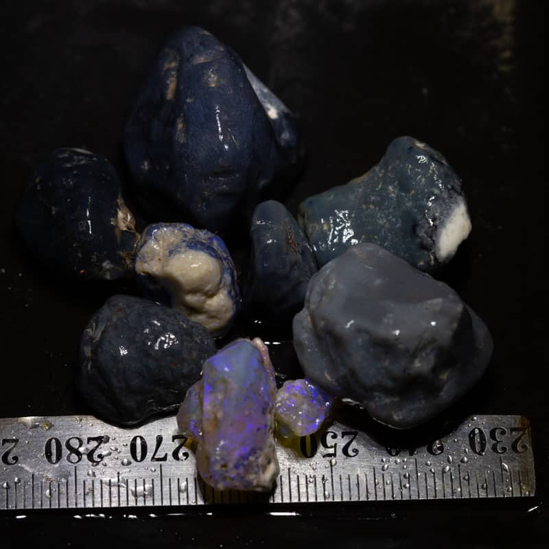 185 ct Beginners Rough Opal with Video Tutorials