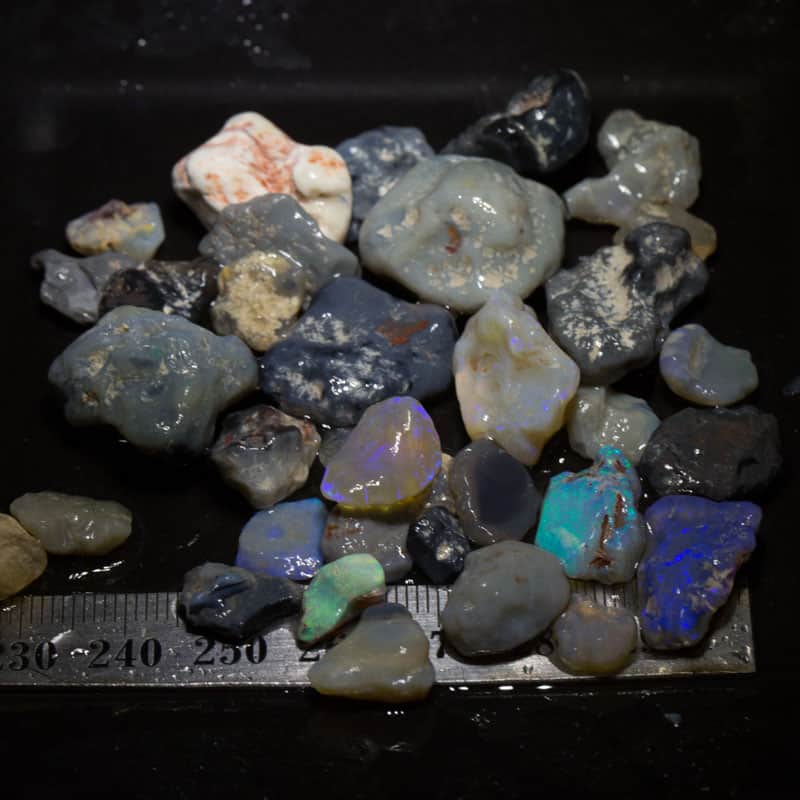 186ct Beginners Rough Opal with Video Tutorials