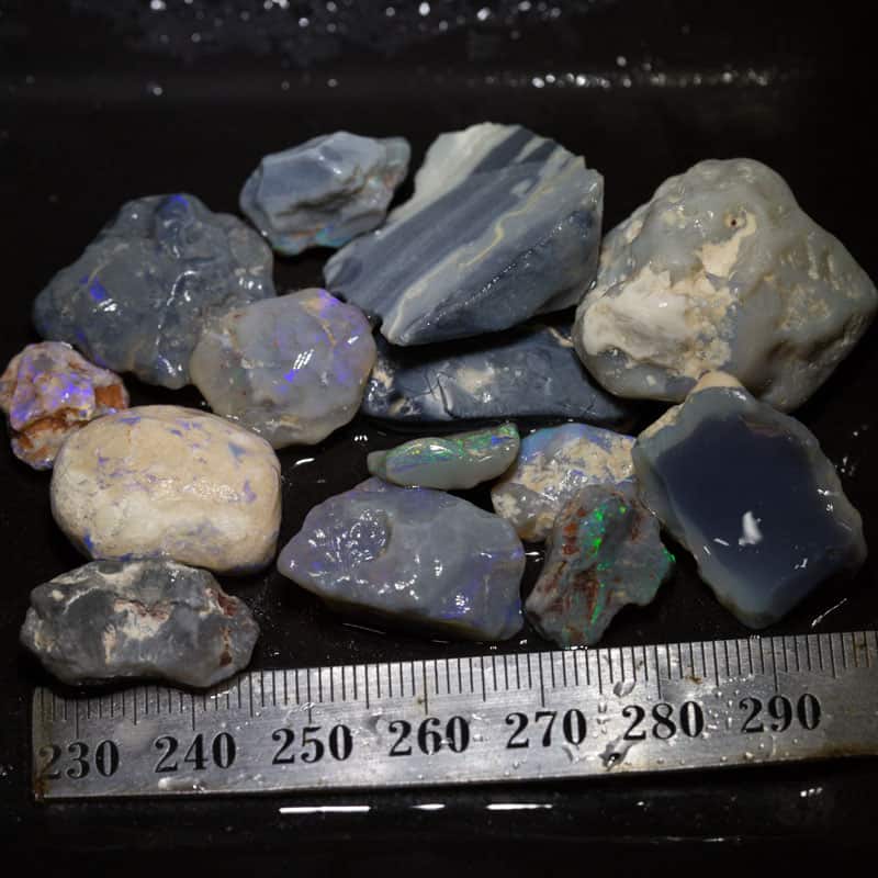 187 ct Beginners Rough Opal with Video Tutorials