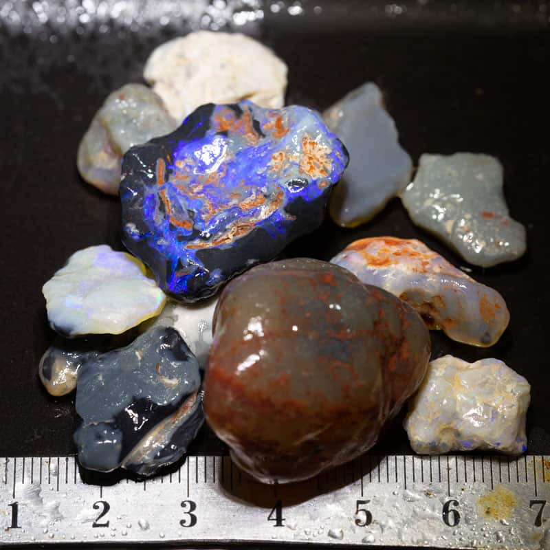 194 ct Beginners Rough Opal with Video Tutorials