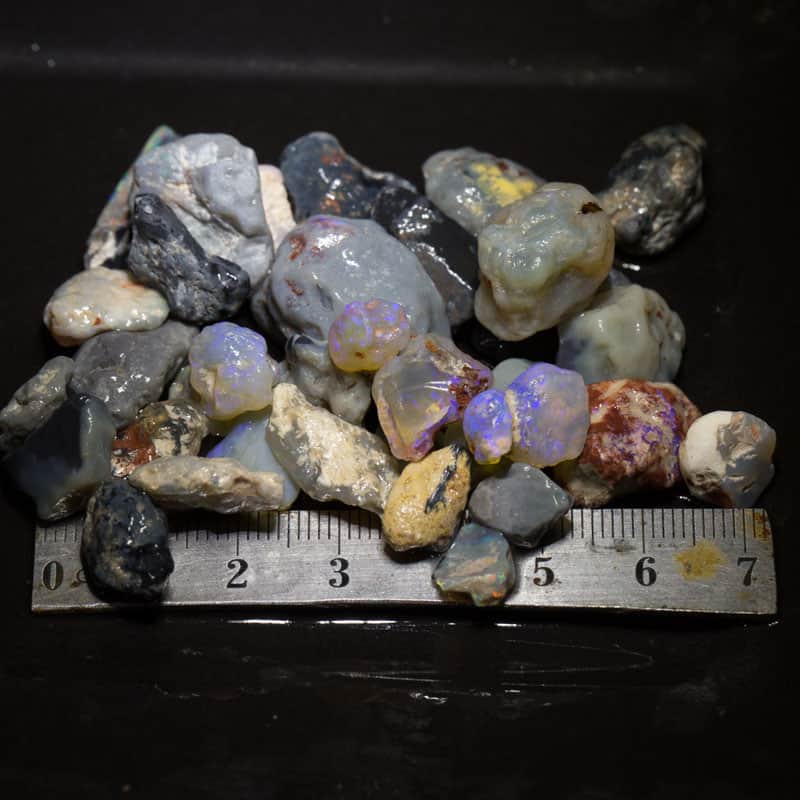 195 ct Beginners Rough Opal with Video Tutorials