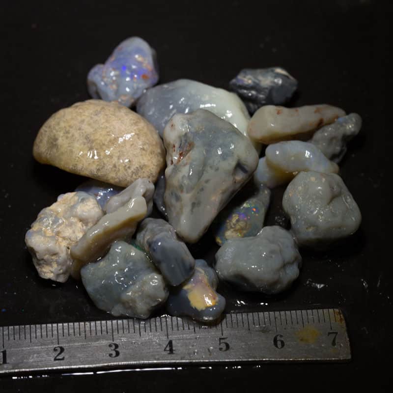 195 ct Beginners Rough Opal with Video Tutorials