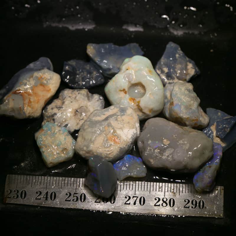 196 ct Beginners Rough Opal with Video Tutorials