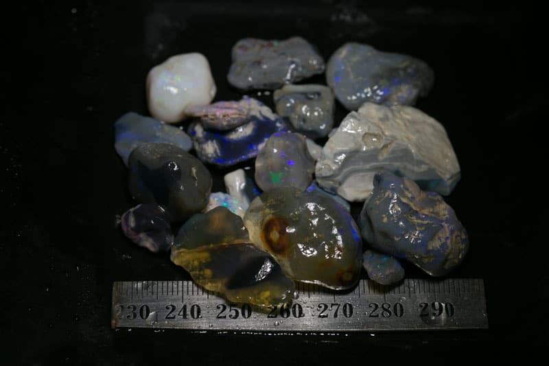 198 ct Beginners Rough Opal With Video Tutorials