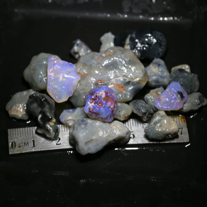 198 ct Beginners Rough Opal with Video Tutorials