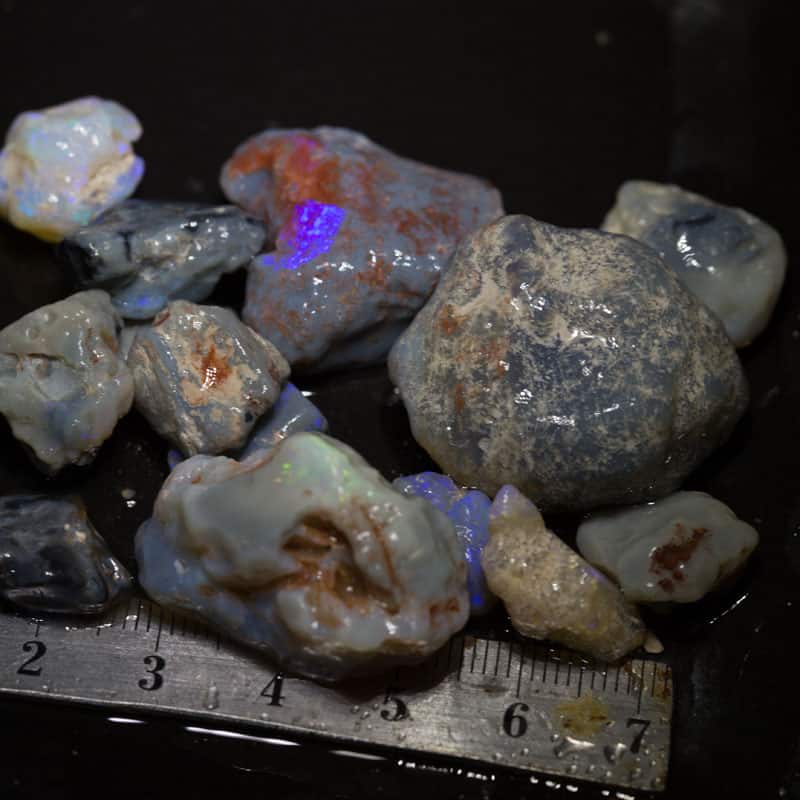 198 ct Beginners Rough Opal with Video Tutorials