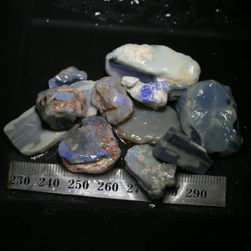 199 ct Beginners Rough Opal with Video Tutorials