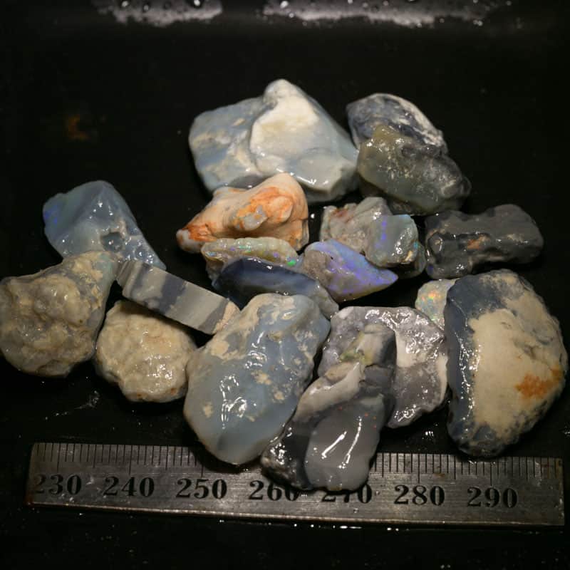 199 ct Beginners Rough Opal with Video Tutorials