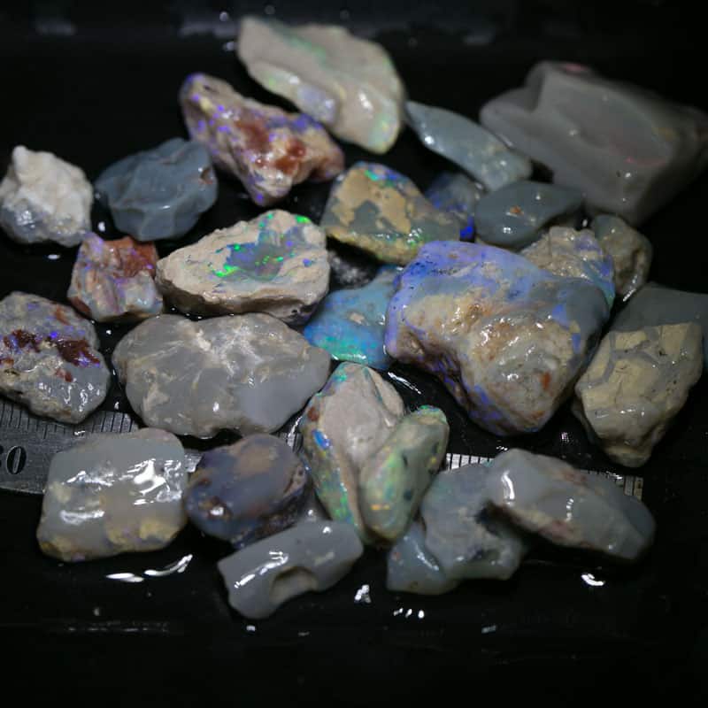 200 ct Beginners Rough Opal with Video Tutorials